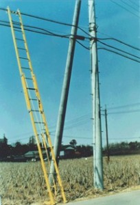 Photo 1. FRP Insulation Ladder